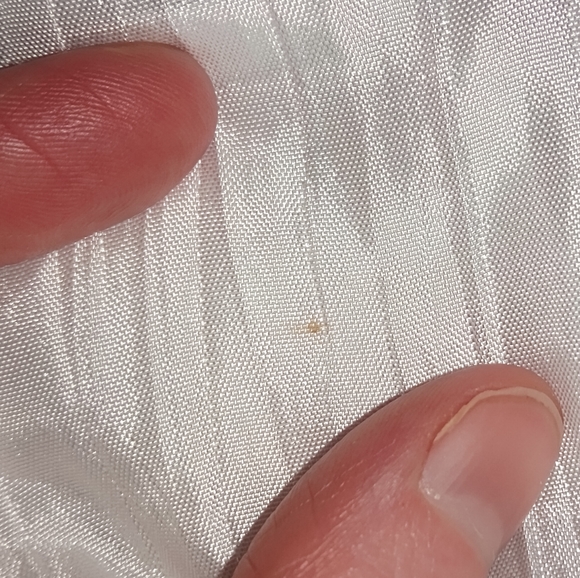 EUC Baby Girl's Cherokee Dress NB - Picture 9 of 9